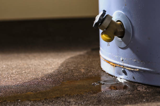 Best Professional water damage repair  in Bennington, NE
