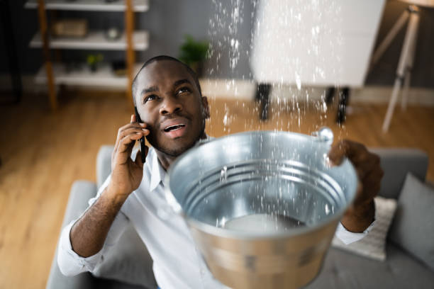 Best Water damage restoration near me  in Bennington, NE
