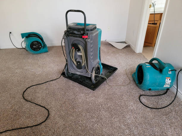 Best Water damage restoration near me  in Bennington, NE