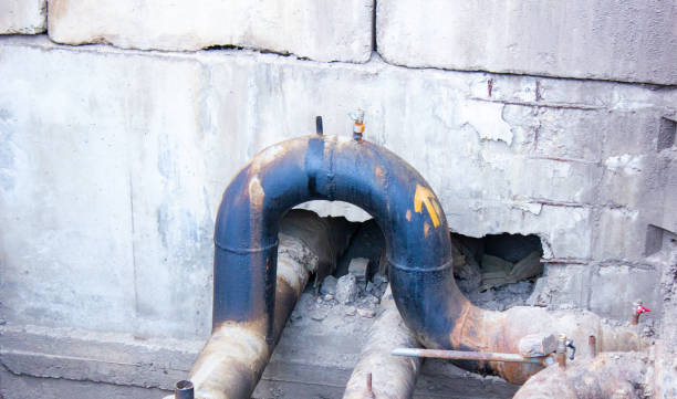 Best Flood restoration services  in Bennington, NE